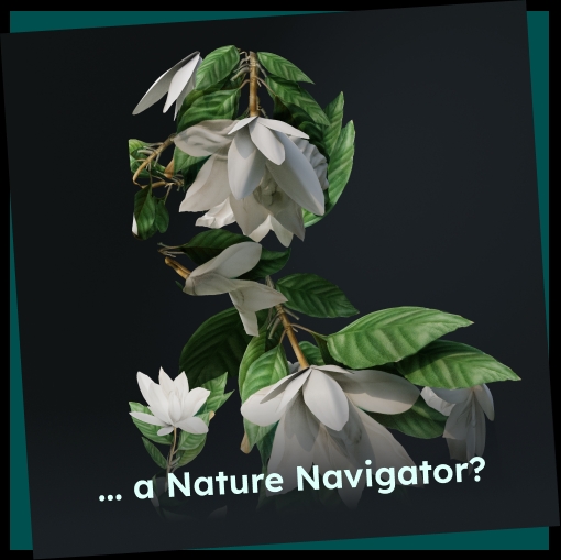 Passion Profile image