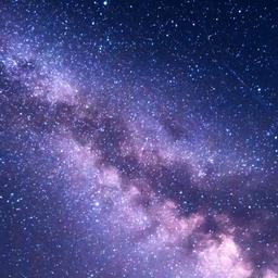 Sree harshini Satheeskumar