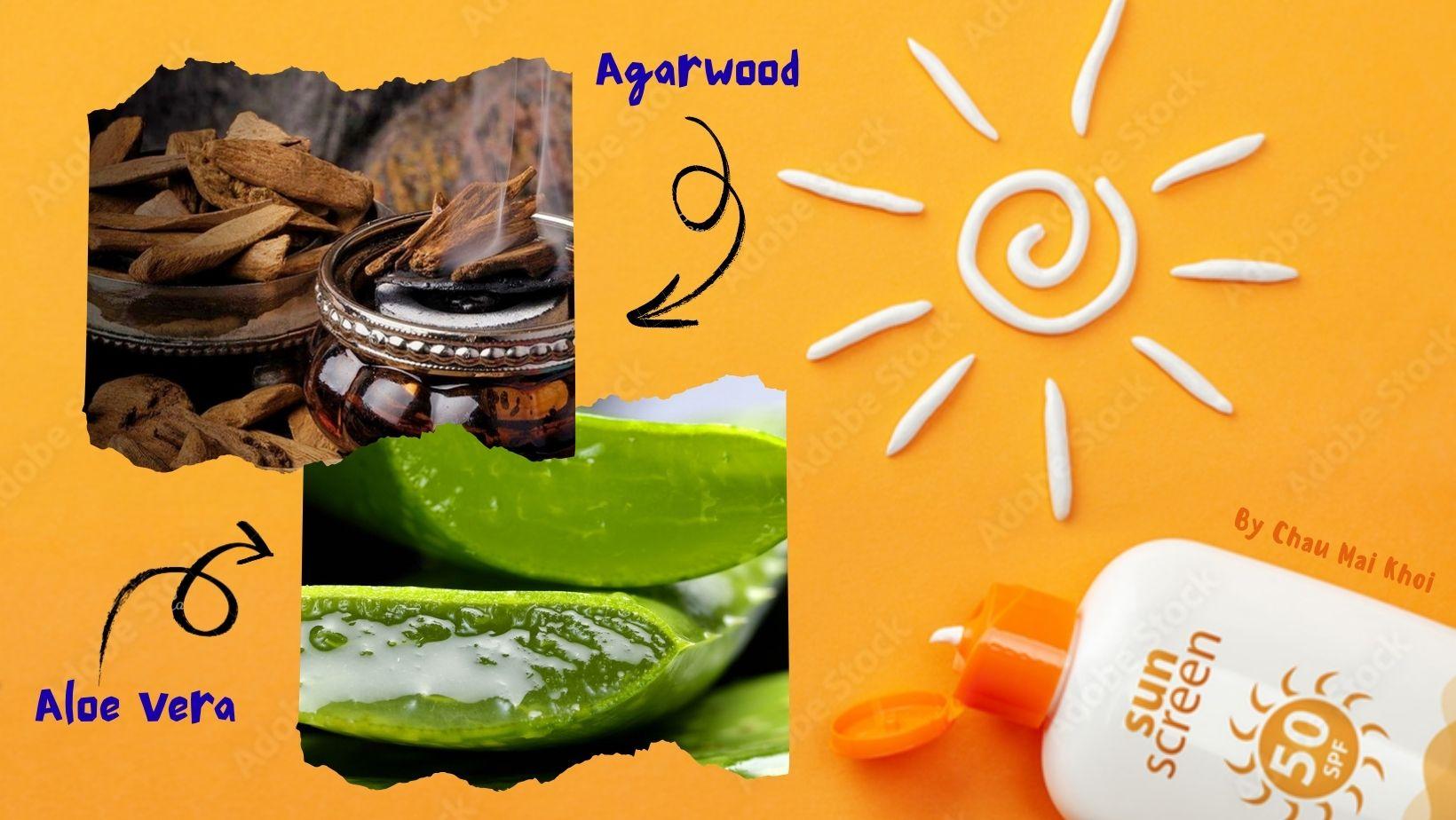 Portfolio item's cover image