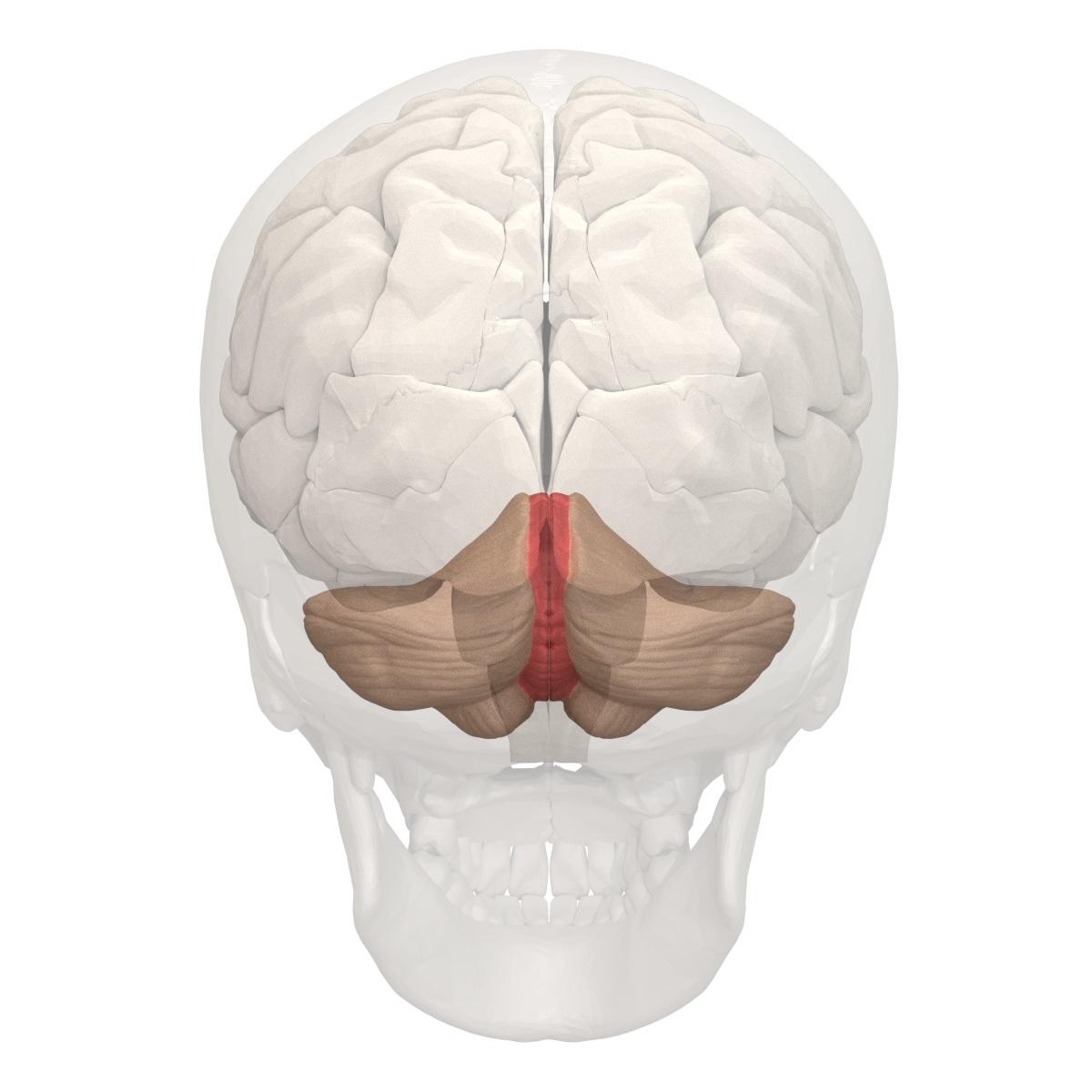 Portfolio item's cover image