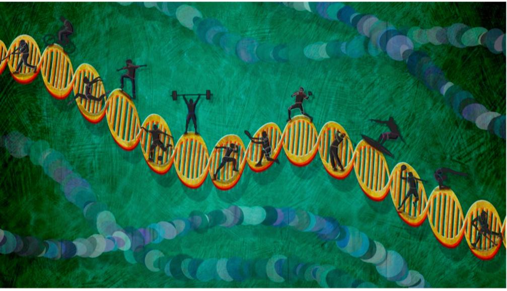 Portfolio item's cover image