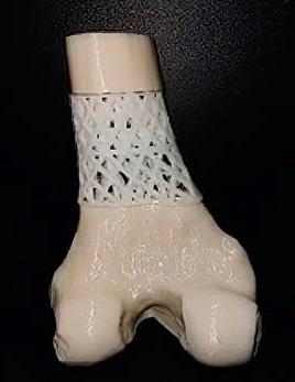 Portfolio item's cover image