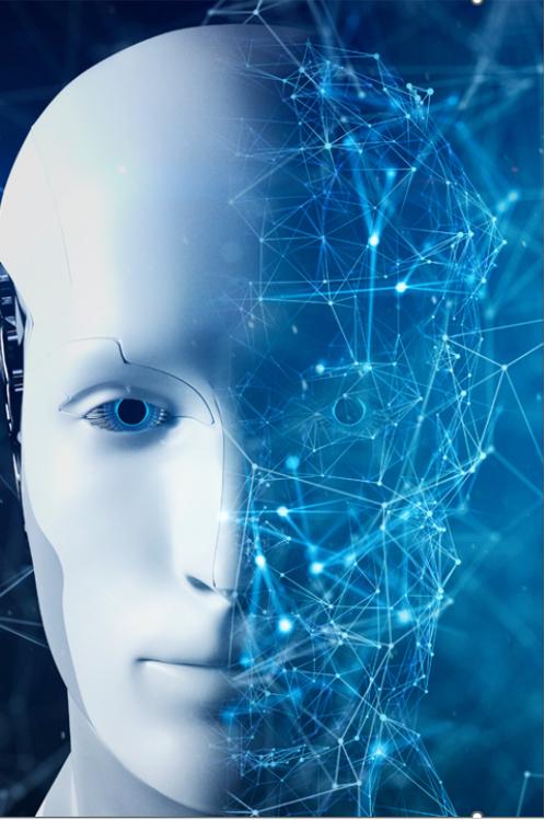 Portfolio item's cover image