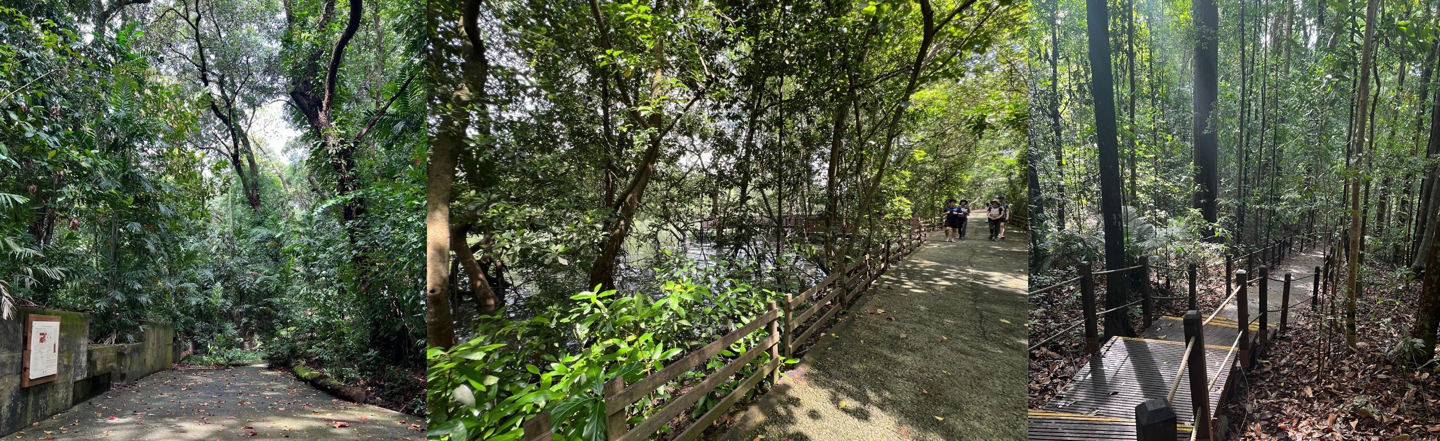 Portfolio item's cover image