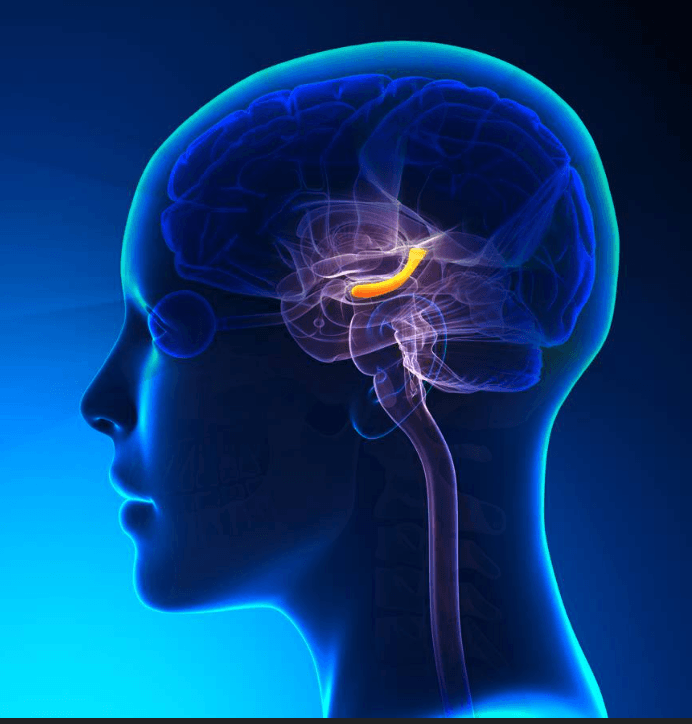 Portfolio item's cover image