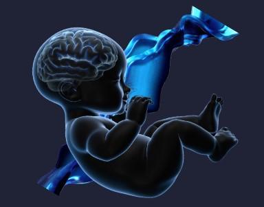 Portfolio item's cover image