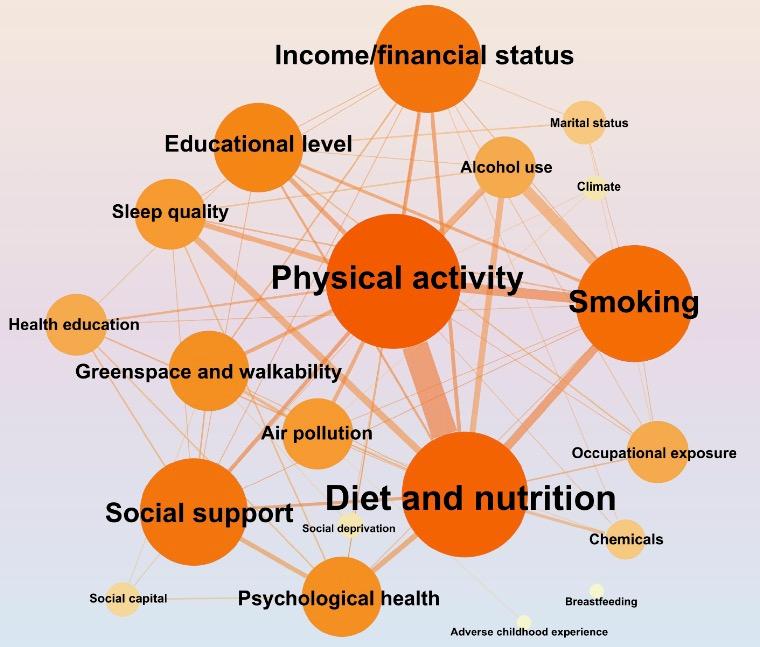 Portfolio item's cover image