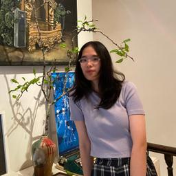 Tue-Minh Nguyen-Hoang