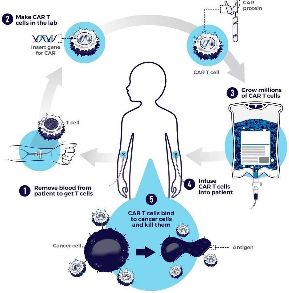 Portfolio item's cover image