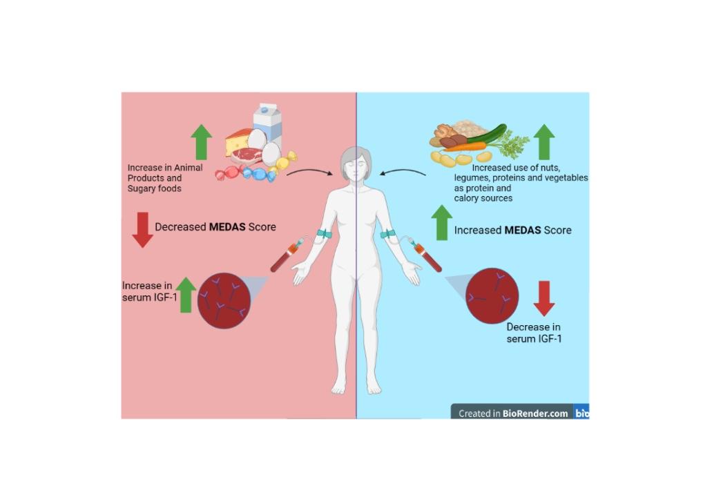 Portfolio item's cover image